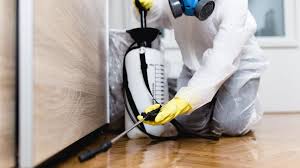 Best Fumigation Services  in Burlington, WA