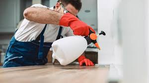 Best Residential Pest Control  in Burlington, WA